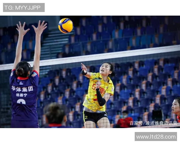 北京排球队灵活性分析与表现评估的深度研究与探讨